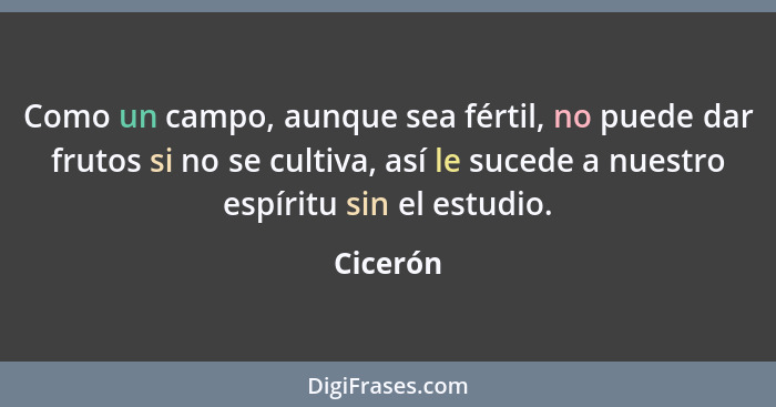 Como un campo, aunque sea fértil, no puede dar frutos si no se cultiva, así le sucede a nuestro espíritu sin el estudio.... - Cicerón