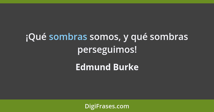 ¡Qué sombras somos, y qué sombras perseguimos!... - Edmund Burke