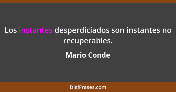 Los instantes desperdiciados son instantes no recuperables.... - Mario Conde