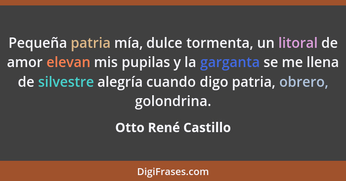 Pequeña patria mía, dulce tormenta, un litoral de amor elevan mis pupilas y la garganta se me llena de silvestre alegría cuando d... - Otto René Castillo