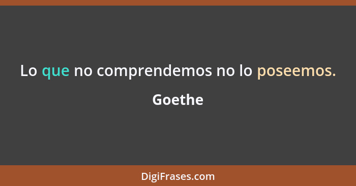 Lo que no comprendemos no lo poseemos.... - Goethe