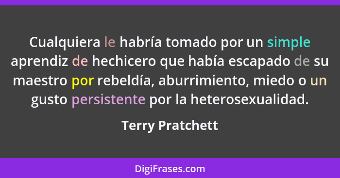 Cualquiera le habría tomado por un simple aprendiz de hechicero que había escapado de su maestro por rebeldía, aburrimiento, miedo o... - Terry Pratchett