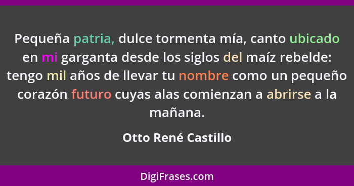 Pequeña patria, dulce tormenta mía, canto ubicado en mi garganta desde los siglos del maíz rebelde: tengo mil años de llevar tu n... - Otto René Castillo