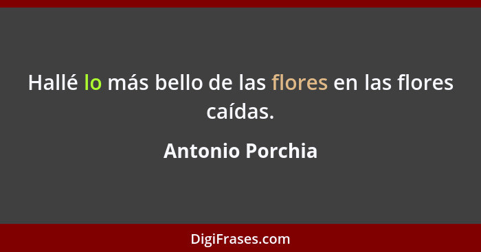 Hallé lo más bello de las flores en las flores caídas.... - Antonio Porchia