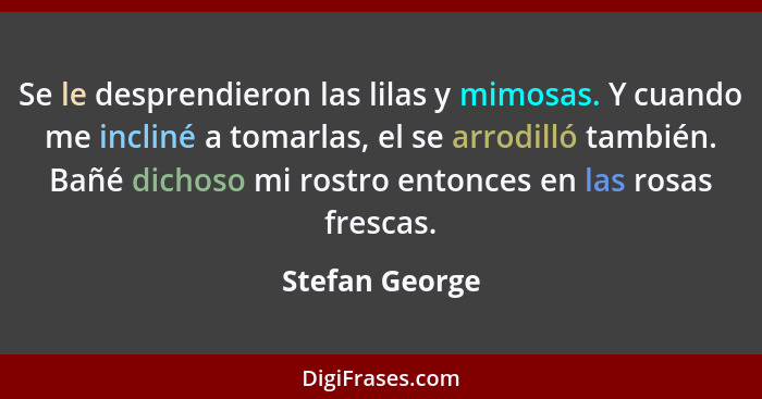 Se le desprendieron las lilas y mimosas. Y cuando me incliné a tomarlas, el se arrodilló también. Bañé dichoso mi rostro entonces en l... - Stefan George