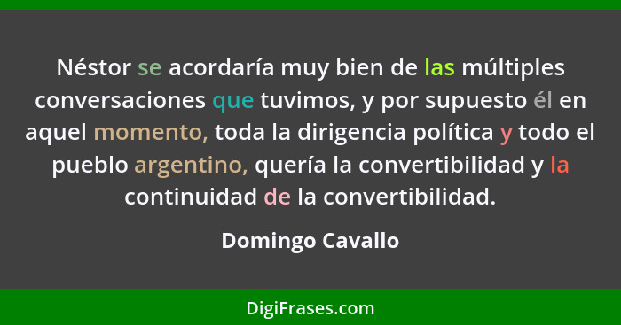 Néstor se acordaría muy bien de las múltiples conversaciones que tuvimos, y por supuesto él en aquel momento, toda la dirigencia pol... - Domingo Cavallo