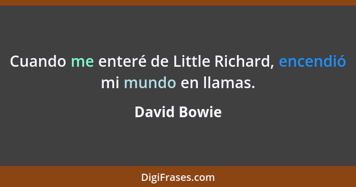 Cuando me enteré de Little Richard, encendió mi mundo en llamas.... - David Bowie