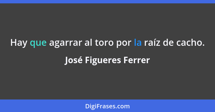 Hay que agarrar al toro por la raíz de cacho.... - José Figueres Ferrer