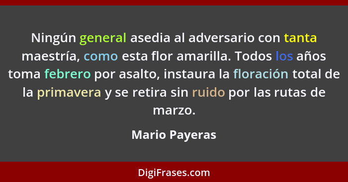 Ningún general asedia al adversario con tanta maestría, como esta flor amarilla. Todos los años toma febrero por asalto, instaura la f... - Mario Payeras