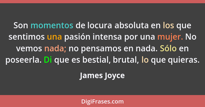 Son momentos de locura absoluta en los que sentimos una pasión intensa por una mujer. No vemos nada; no pensamos en nada. Sólo en poseer... - James Joyce