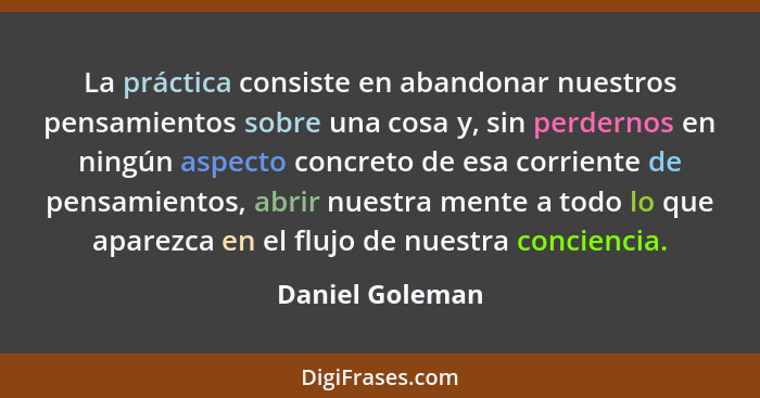 La práctica consiste en abandonar nuestros pensamientos sobre una cosa y, sin perdernos en ningún aspecto concreto de esa corriente d... - Daniel Goleman