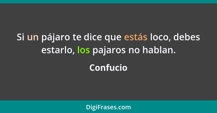 Si un pájaro te dice que estás loco, debes estarlo, los pajaros no hablan.... - Confucio