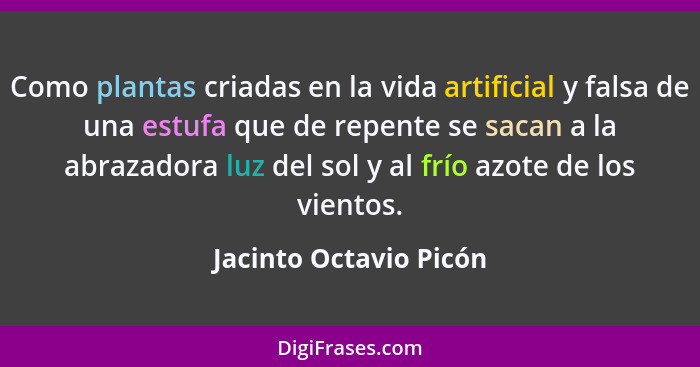 Como plantas criadas en la vida artificial y falsa de una estufa que de repente se sacan a la abrazadora luz del sol y al frío... - Jacinto Octavio Picón