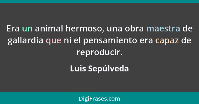 Era un animal hermoso, una obra maestra de gallardía que ni el pensamiento era capaz de reproducir.... - Luis Sepúlveda