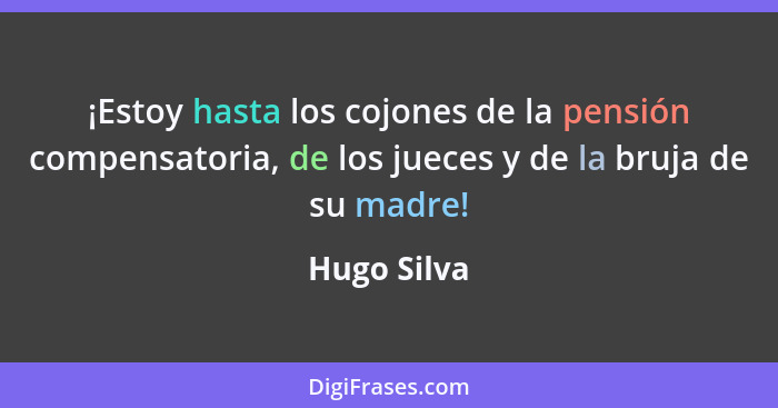 ¡Estoy hasta los cojones de la pensión compensatoria, de los jueces y de la bruja de su madre!... - Hugo Silva