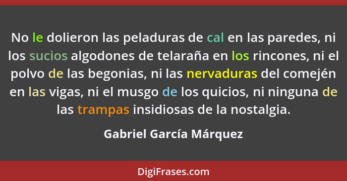 No le dolieron las peladuras de cal en las paredes, ni los sucios algodones de telaraña en los rincones, ni el polvo de las b... - Gabriel García Márquez