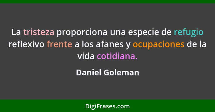 La tristeza proporciona una especie de refugio reflexivo frente a los afanes y ocupaciones de la vida cotidiana.... - Daniel Goleman