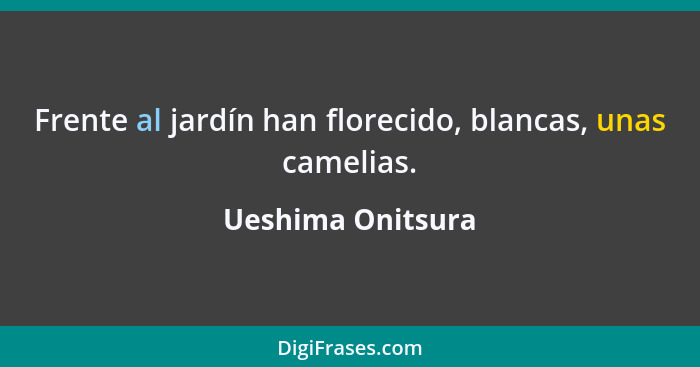 Frente al jardín han florecido, blancas, unas camelias.... - Ueshima Onitsura