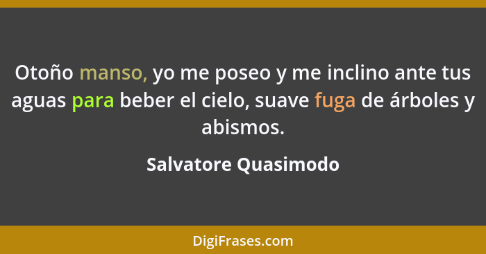 Otoño manso, yo me poseo y me inclino ante tus aguas para beber el cielo, suave fuga de árboles y abismos.... - Salvatore Quasimodo