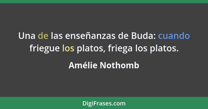 Una de las enseñanzas de Buda: cuando friegue los platos, friega los platos.... - Amélie Nothomb