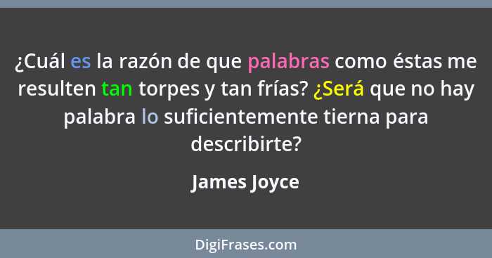 ¿Cuál es la razón de que palabras como éstas me resulten tan torpes y tan frías? ¿Será que no hay palabra lo suficientemente tierna para... - James Joyce