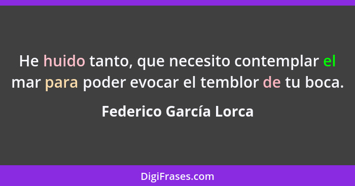 He huido tanto, que necesito contemplar el mar para poder evocar el temblor de tu boca.... - Federico García Lorca