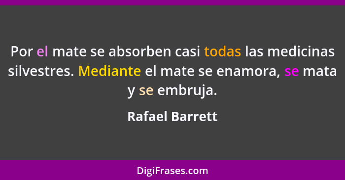 Por el mate se absorben casi todas las medicinas silvestres. Mediante el mate se enamora, se mata y se embruja.... - Rafael Barrett