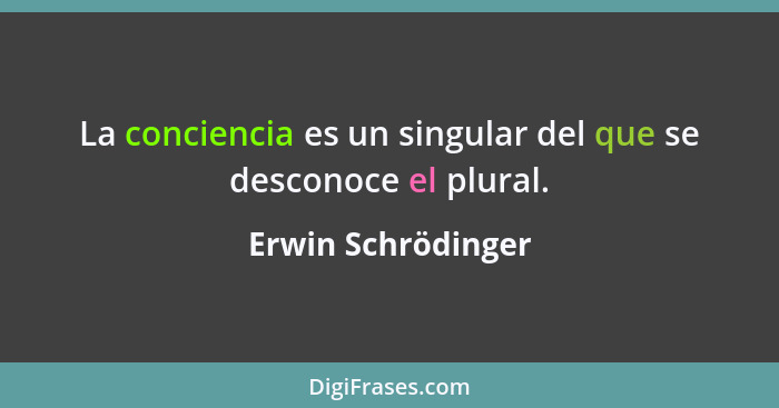 La conciencia es un singular del que se desconoce el plural.... - Erwin Schrödinger