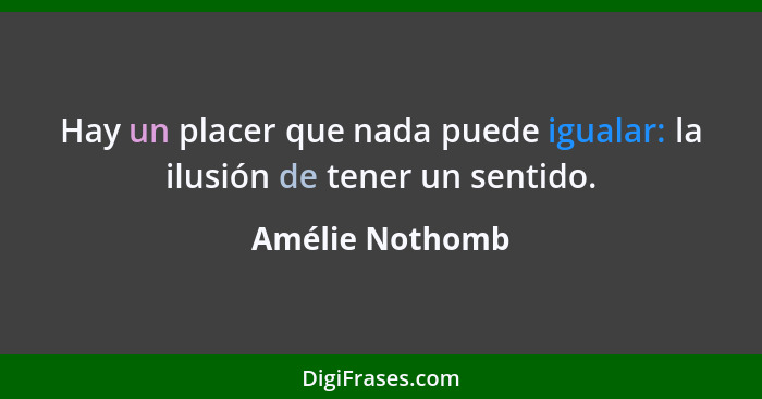 Hay un placer que nada puede igualar: la ilusión de tener un sentido.... - Amélie Nothomb