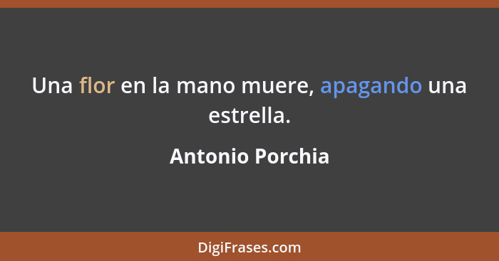 Una flor en la mano muere, apagando una estrella.... - Antonio Porchia