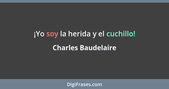 ¡Yo soy la herida y el cuchillo!... - Charles Baudelaire