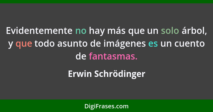 Evidentemente no hay más que un solo árbol, y que todo asunto de imágenes es un cuento de fantasmas.... - Erwin Schrödinger