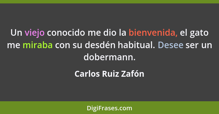 Un viejo conocido me dio la bienvenida, el gato me miraba con su desdén habitual. Desee ser un dobermann.... - Carlos Ruiz Zafón