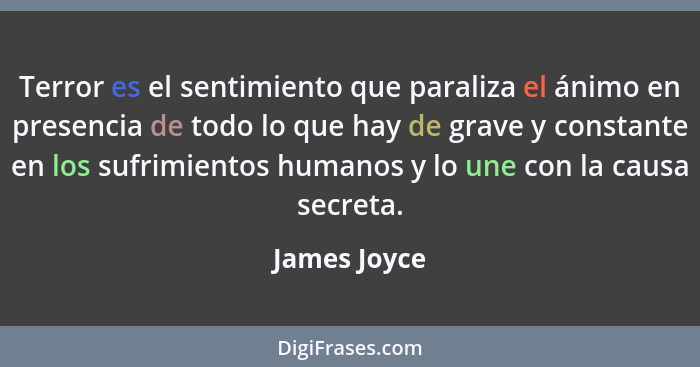 Terror es el sentimiento que paraliza el ánimo en presencia de todo lo que hay de grave y constante en los sufrimientos humanos y lo une... - James Joyce