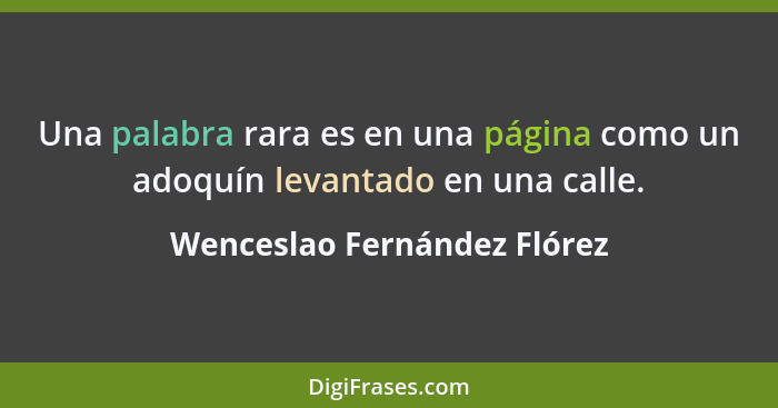 Una palabra rara es en una página como un adoquín levantado en una calle.... - Wenceslao Fernández Flórez