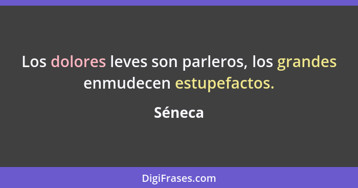 Los dolores leves son parleros, los grandes enmudecen estupefactos.... - Séneca