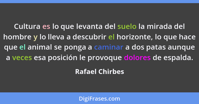 Cultura es lo que levanta del suelo la mirada del hombre y lo lleva a descubrir el horizonte, lo que hace que el animal se ponga a ca... - Rafael Chirbes