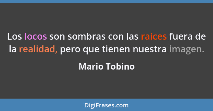 Los locos son sombras con las raíces fuera de la realidad, pero que tienen nuestra imagen.... - Mario Tobino