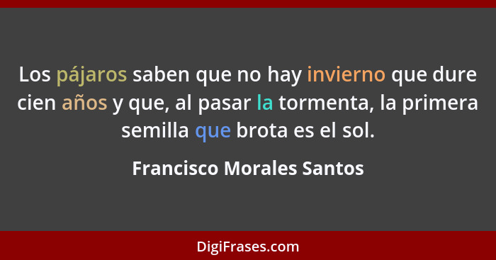 Los pájaros saben que no hay invierno que dure cien años y que, al pasar la tormenta, la primera semilla que brota es el so... - Francisco Morales Santos