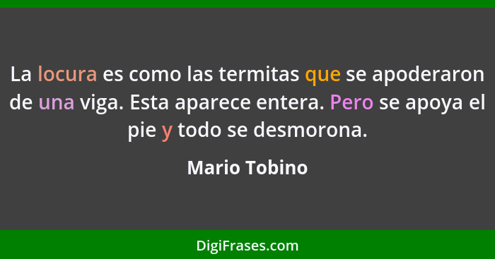 La locura es como las termitas que se apoderaron de una viga. Esta aparece entera. Pero se apoya el pie y todo se desmorona.... - Mario Tobino