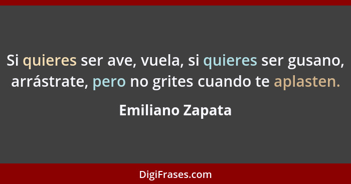 Si quieres ser ave, vuela, si quieres ser gusano, arrástrate, pero no grites cuando te aplasten.... - Emiliano Zapata