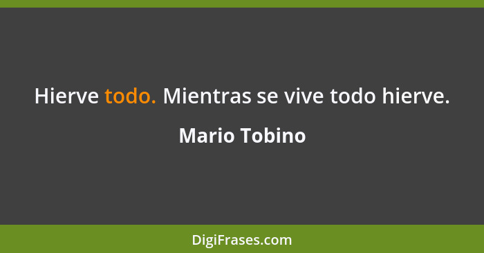 Hierve todo. Mientras se vive todo hierve.... - Mario Tobino