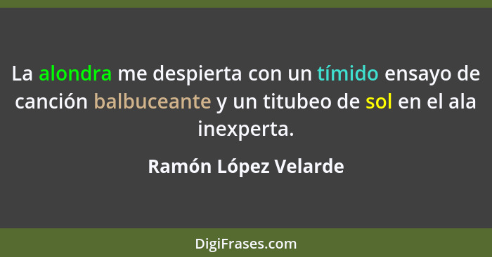 La alondra me despierta con un tímido ensayo de canción balbuceante y un titubeo de sol en el ala inexperta.... - Ramón López Velarde