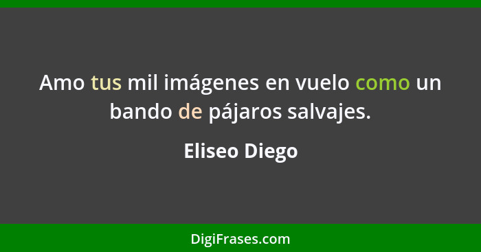 Amo tus mil imágenes en vuelo como un bando de pájaros salvajes.... - Eliseo Diego