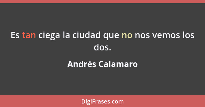 Es tan ciega la ciudad que no nos vemos los dos.... - Andrés Calamaro