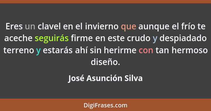 Eres un clavel en el invierno que aunque el frío te aceche seguirás firme en este crudo y despiadado terreno y estarás ahí sin h... - José Asunción Silva