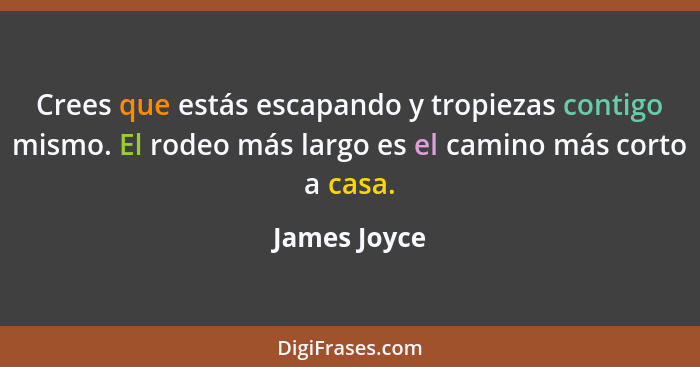 Crees que estás escapando y tropiezas contigo mismo. El rodeo más largo es el camino más corto a casa.... - James Joyce