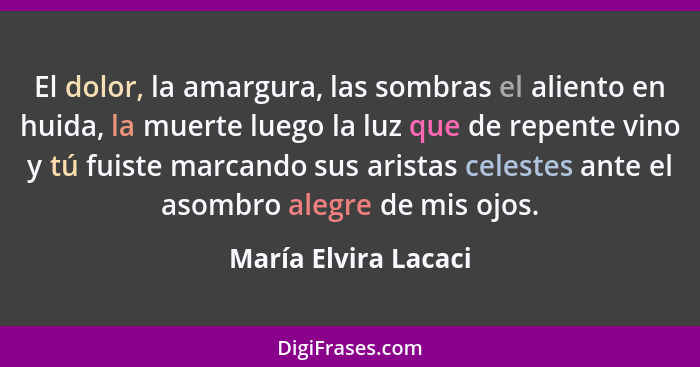 El dolor, la amargura, las sombras el aliento en huida, la muerte luego la luz que de repente vino y tú fuiste marcando sus aris... - María Elvira Lacaci