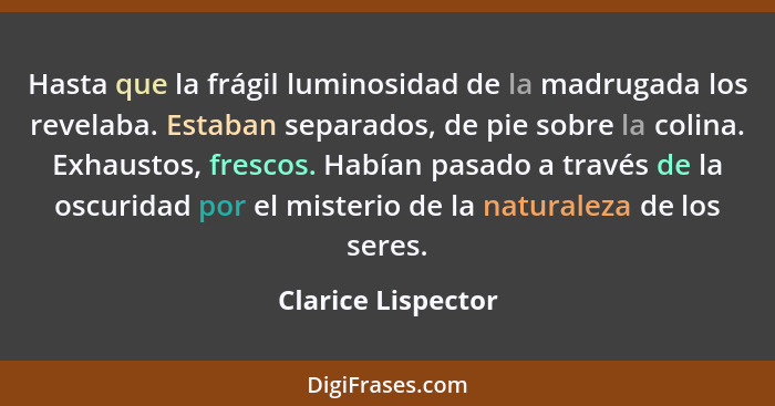 Hasta que la frágil luminosidad de la madrugada los revelaba. Estaban separados, de pie sobre la colina. Exhaustos, frescos. Había... - Clarice Lispector