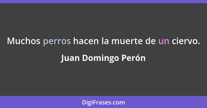 Muchos perros hacen la muerte de un ciervo.... - Juan Domingo Perón